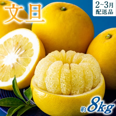 福岡柑橘王国・文旦/約8キロ(2027年2月～3月配送予定).AB482