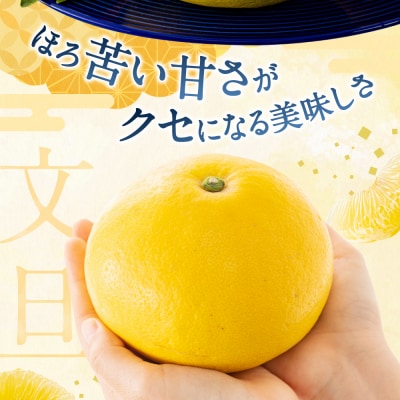 福岡柑橘王国・文旦/約8キロ(2026年2月～3月配送予定).AB482