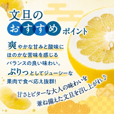 福岡柑橘王国・文旦/約8キロ(2026年2月～3月配送予定).AB482