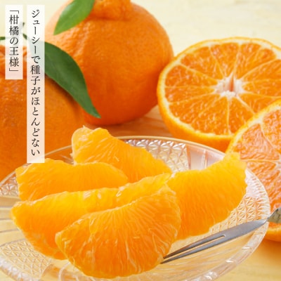 いわくま果樹園自慢の不知火/約4kg(2027年2～3月発送予定).AB483.ST