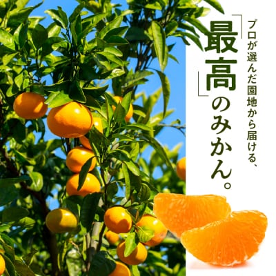 温州みかん(5kg程度)/2025年11月～2026年1月配送.AB485