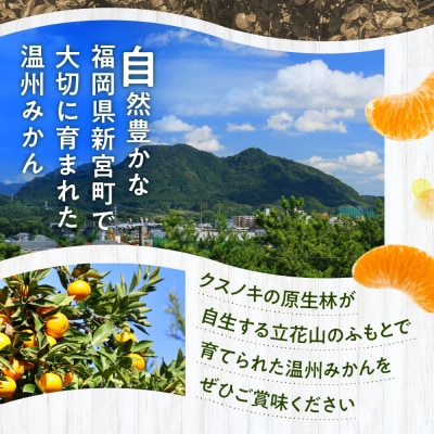 温州みかん(5kg程度)2026年11月～2027年1月配送.AB485