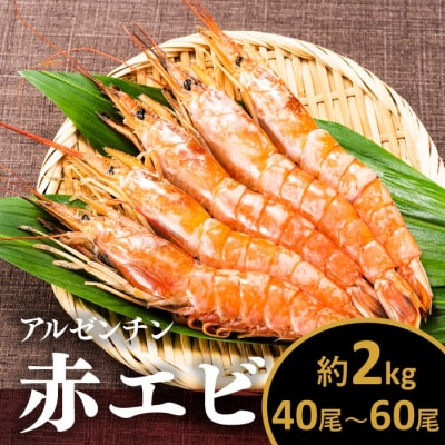 【お刺身用】有頭赤海老2kg(約40～60尾入).AC167