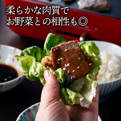こくうま霜降りカルビ焼肉500g【博多和牛】.AA268