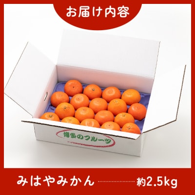 柑橘・みはやみかん/約2.5キロ(2025年12月上旬～2026年1月末発送予定).AB488