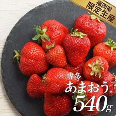 人気1位獲得謝礼品★限定品★博多あまおう約540g(2027年2月以降発送)【あまおう】.ZI319