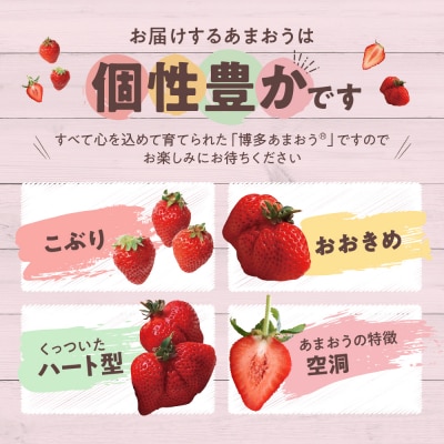 人気1位獲得謝礼品★限定品★あまおう約540g(2026年3月以降発送)【あまおう】.ZI319