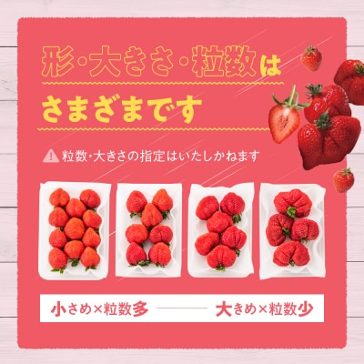 人気1位獲得謝礼品★限定品★あまおう約540g(2027年2月以降発送)【あまおう】.ZI319