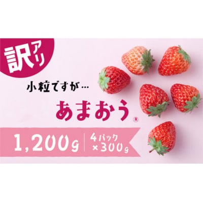 【訳あり.限定品】あまおう.小粒ですが約1200g(2026年1月以降発送)【あまおう】.AC176