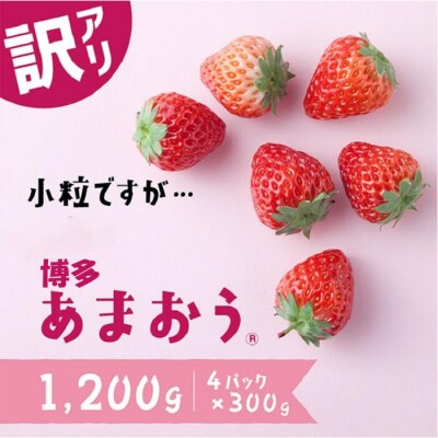 【訳あり】博多あまおう.小粒ですが約1200g(2027年2月以降発送)【あまおう】.AC176