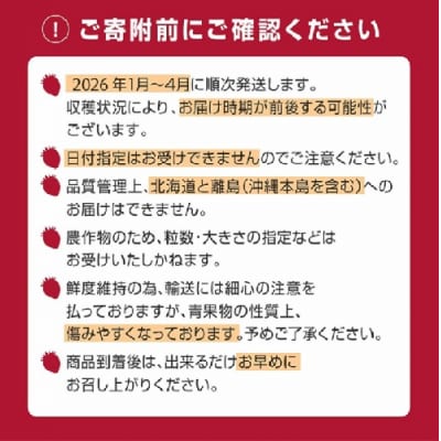 【訳あり.限定品】あまおう.小粒ですが約1200g(2026年1月以降発送)【あまおう】.AC176