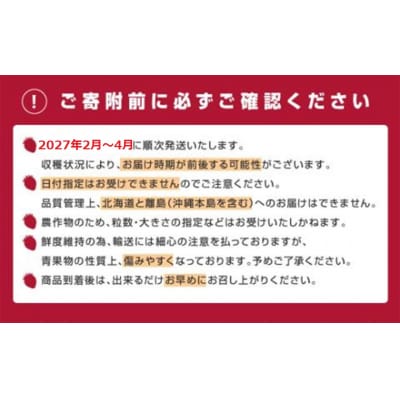 【訳あり.限定品】あまおう.小粒ですが約1200g(2027年2月以降発送)【あまおう】.AC176