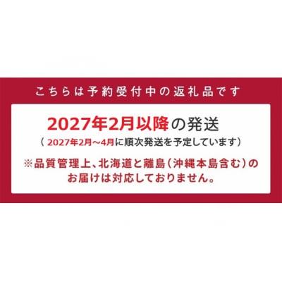 【訳あり.限定品】あまおう.小粒ですが約1200g(2027年2月以降発送)【あまおう】.AC176