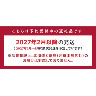 【訳あり】博多あまおう.小粒ですが約1200g(2027年2月以降発送)【あまおう】.AC176
