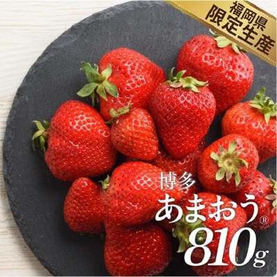 人気1位獲得謝礼品★限定品★博多あまおう約810g(2027年2月以降発送)【あまおう】.A1721