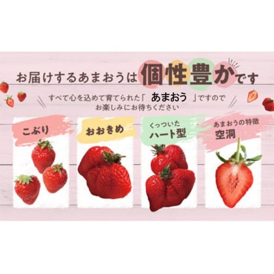 人気1位獲得謝礼品★限定品★あまおう約810g(2026年1月以降発送)【あまおう】.AC177