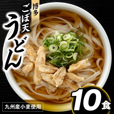 博多ごぼ天うどん10食.ZG237