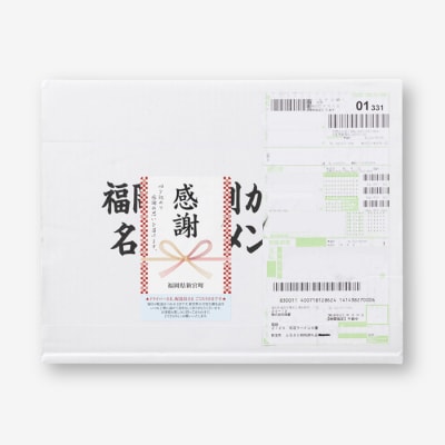 博多ごぼ天うどん10食.ZG237