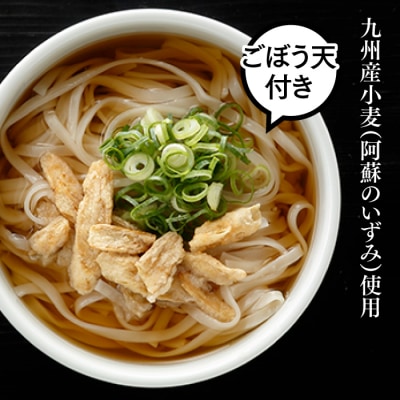 博多麺セット(豚骨ラーメン5食、ごぼ天うどん5食)【豚骨ラーメン】.ZG238