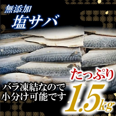 バラ凍結で便利!塩さば&銀鮭ミックス(合計約2.5kg).AC185