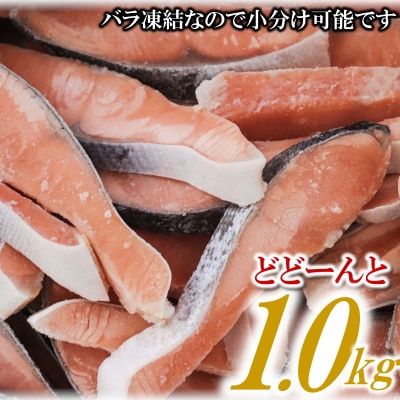 バラ凍結で便利!塩さば&銀鮭ミックス(合計約2.5kg).AC185