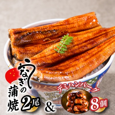 うなぎの蒲焼2尾&大人気のデミハンバーグ8個【新宮町ゴールデンセット】.AA279