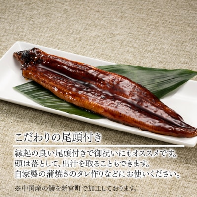 うなぎの蒲焼2尾&大人気のデミハンバーグ8個【新宮町ゴールデンセット】.AA279