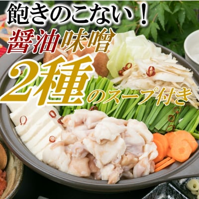 博多名物2種のもつ鍋セット(ど～んと18人前)【もつ鍋・醤油味】【もつ鍋・味噌味】.AC188