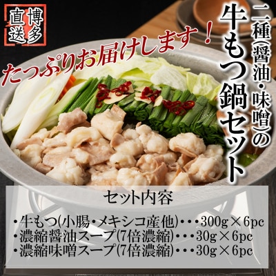 博多名物2種のもつ鍋セット(ど～んと18人前)【もつ鍋・醤油味】【もつ鍋・味噌味】.AC188