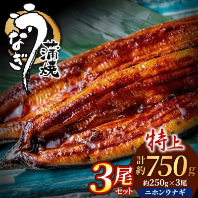 うなぎ蒲焼き3尾セット(約250g×3尾).AG122