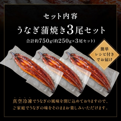 うなぎ蒲焼き3尾セット(約250g×3尾).AG122