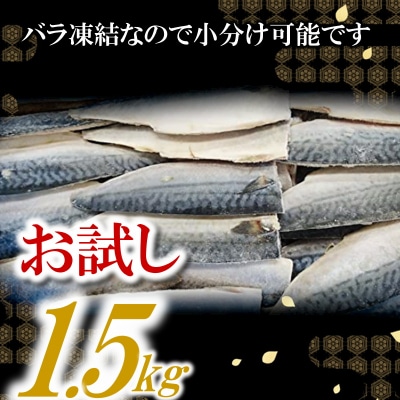 バラ凍結で便利!塩さば(約1.5kg).ZI310