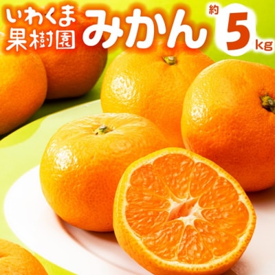 いわくま果樹園の温州みかん(約5kg)/2026年9月下旬～2027年1月下旬発送予定.AB499