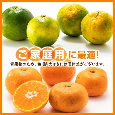 いわくま果樹園の温州みかん(約5kg)/2026年9月下旬～2027年1月下旬発送予定.AB499
