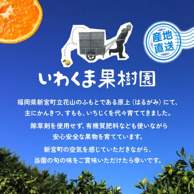 いわくま果樹園の温州みかん(約5kg)/2026年9月下旬～2027年1月下旬発送予定.AB499