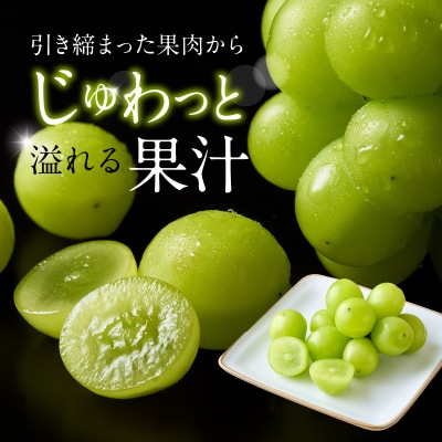 九州・福岡フルーツ王国より直送.シャインマスカット約1kg/2026年9月配送.AD170