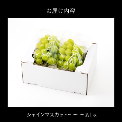 九州・福岡フルーツ王国より直送.シャインマスカット約1kg/2026年9月配送.AD170