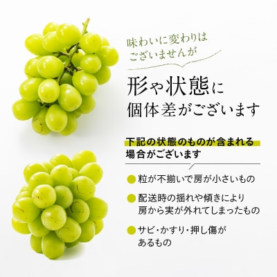 九州・福岡フルーツ王国より直送.シャインマスカット約1kg/2026年9月配送.AD170