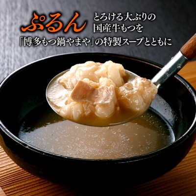 【やまや】博多もつ鍋(こく味噌味・3～4人前)【もつ鍋・味噌味】.AG123