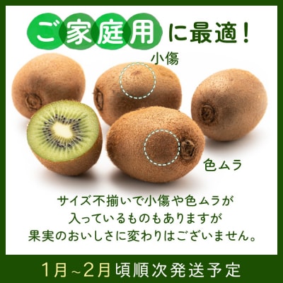 キウイフルーツ(グリーン)3kg程度/2026年1月～2月配送予定.AC196