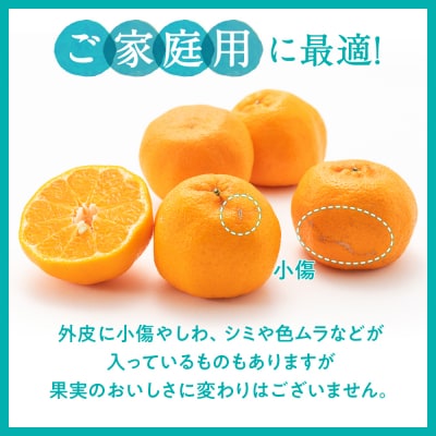 ぽんかん(5kg程度)/2025年12月～2026年1月配送予定.AB502