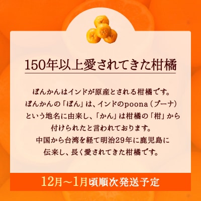ぽんかん(5kg程度)/2025年12月～2026年1月配送予定.AB502