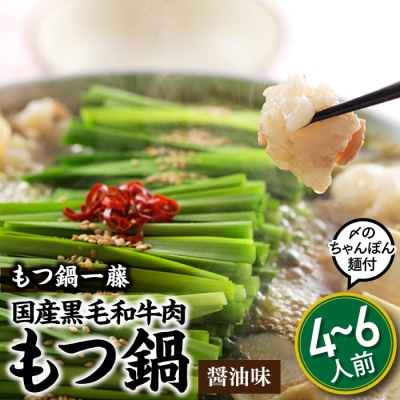【もつ鍋一藤】国産黒毛和牛肉のもつ鍋醤油味(4～6人前)【もつ鍋・醤油味】.BA015