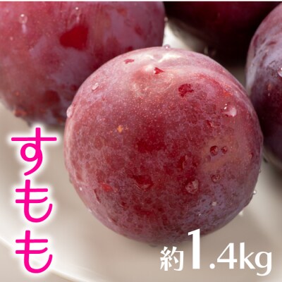 九州・福岡フルーツ王国より直送.すもも.約1.4kg/2027年6月配送.AC199