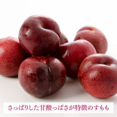 九州・福岡フルーツ王国より直送.すもも.約1.4kg/2027年6月配送.AC199