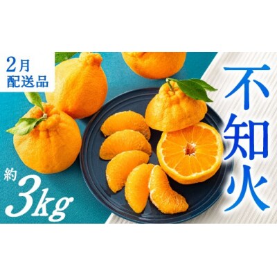 農家直送の不知火/約3kg(2026年2月発送予定).AB503