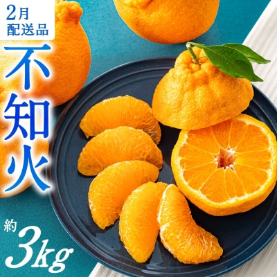 農家直送の不知火/約3kg(2027年2月発送予定).AB642