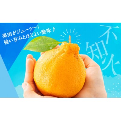 農家直送の不知火/約3kg(2026年2月発送予定).AB503