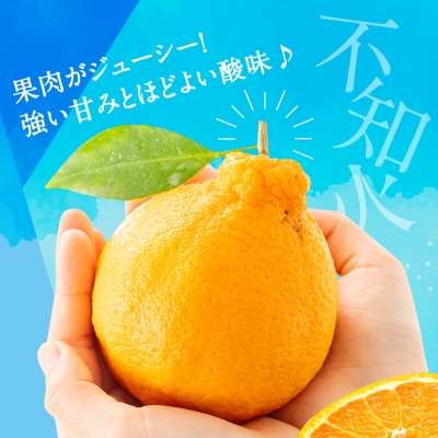 農家直送の不知火/約3kg(2027年2月発送予定).AB642