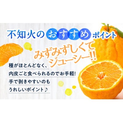農家直送の不知火/約3kg(2026年2月発送予定).AB503